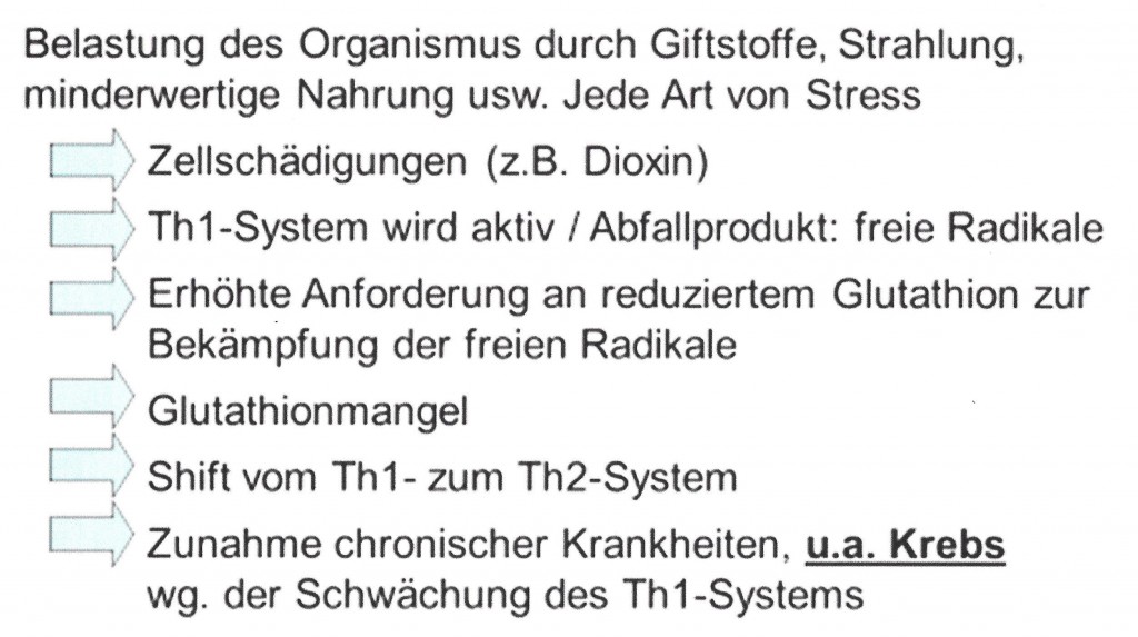 Immun-Zusammenfassung